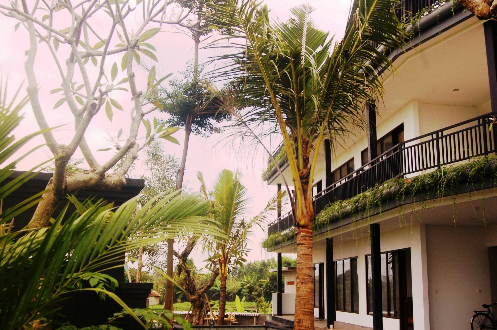 Grandpa Guest House Canggu Exterior foto